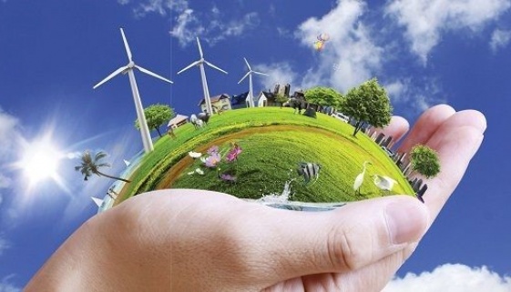 Tìm hiểu về ngành Quản lý tài nguyên và môi trường